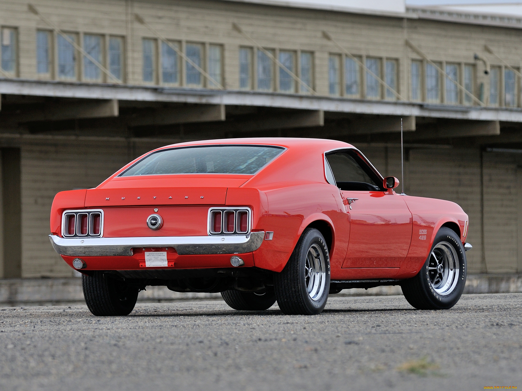 , mustang